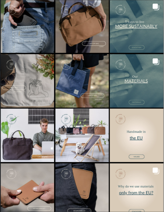 Plant Inside Instagram Grid
